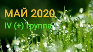 #МАЙ 2020 #ГРУППА КРОВИ IV (+) #ТАРО ГАДАНИЯ ПРОГНОЗ