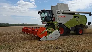 Уборка зерновых 2023 сезон Кубань и Пензенская область claas tucano , John Deere .