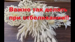 Перекись 60%.Отбеливаем растения.Основные правила!!