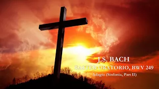 J.S. Bach : Easter Oratorio (Oster Oratorium), BWV 249 - (Adagio)