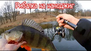 Наноджиг - Ловля МИРНОЇ та ХИЖОЇ Риби 🐟 Великий ОКУНЬ та ЩУКА