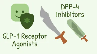 GLP 1 Receptor Agonists and DPP 4 Inhibitors Mechanism of Action