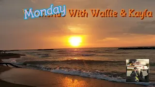 Monday With Wallie - Keeping Myself Occupied - 4/6/2020