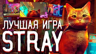 ОБЗОР STRAY - ЛУЧШАЯ ИГРА 2022? ГЕЙМПЛЕЙ, СЮЖЕТ, ЧЕСТНЫЙ ОБЗОР (STRAY ОБЗОР, 2022)