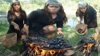 Primitive Technology   awesome cooking shellfish on a rock and eating delicious by girl