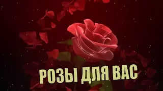 🌺 ЭТИ РОЗЫ Я ДАРЮ ВАМ 💖 музыкальный подарок #8марта