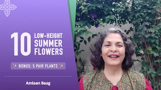 10 Low-Height Summer Flowers| BONUS: 5 Pair Plants| 10 गर्मी के फूल और इनकी जोड़ियों से लैंडस्कैपिंग