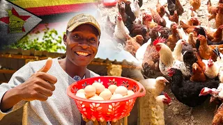 How His Successful Poultry Farm sent him to University and Changed his Life