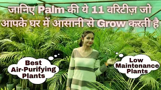 Best Varieties of Palm | 11 Easy Growing Palms at your home you must know| #Nanhapodha #Palmtree