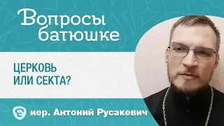 Чем Церковь отличается от сект? Иерей Антоний Русакевич