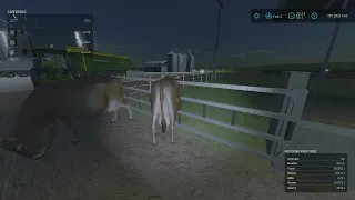 Farming Simulator 22_My Cows are Ghost's?