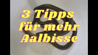 3 Tipps für mehr Aal ( total einfach )