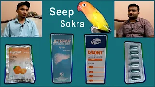 Birds main Seep or Sokra ka ilaj