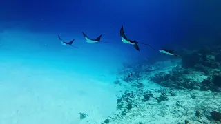 Maarehaa, South Maldives