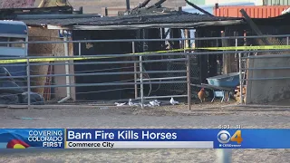 Fire In Commerce City Kills Horses, Destroys Barn