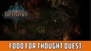 Food For Thought Quest  (Pillars of Eternity 2 Deadfire)