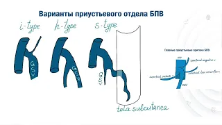 Вебинар, ультразвуковое исследование вен нижних конечностей