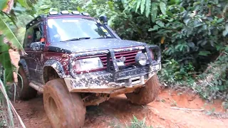 SUZUKI VITARA 4x4 Escudo, and Sidekick JLX Off Road Rain Forest