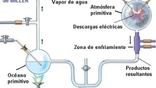 EXPERIMENTO DE MILLER, BIOLOGÍA MOLECULAR EA)