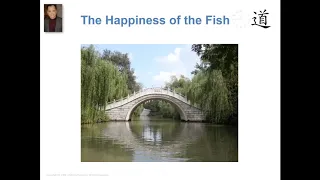 The Happiness Of The Fish, A Tao Talk With Derek Lin