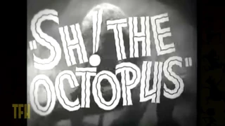 Michael Schlesinger on SH! THE OCTOPUS