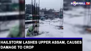 HAILSTORM LASHES UPPER ASSAM, CAUSES DAMAGE TO CROP