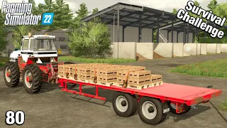 FIRST HONEY PALLETS SOLD - Survival Challenge FS22 Calm Lands Ep 80