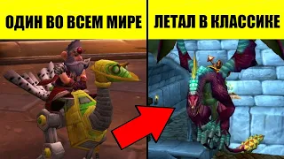 Маунты, о которых ВЫ НЕ ЗНАЛИ в WoW Classic / WoW TBC Classic!