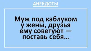 Анекдоты смешные до слез! Подкаблучник-муж решил показать характер... Жизненные анекдоты! Выпуск 26