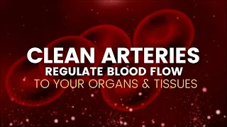 Clean Arteries | Regulate Blood Flow to Your Organs and Tissues | Remove Plaque from Arteries-741Hz