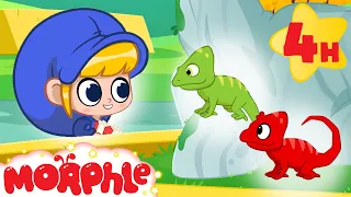 What Kind of Lizard Tells Jokes? 🦎 | Morphle's Family | Funny Kids Cartoons