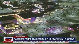 Oak Brook Mall Shooting: Witnesses explain chaotic scene inside | LiveNOW from FOX