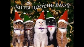 Коты против ёлок и месть ёлок