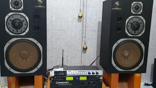 Loa Yamaha ns 1000M huyền thoại, audio bãi an giang 0916517912