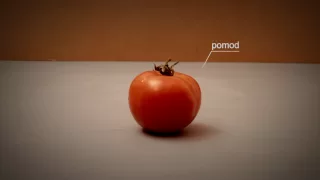 stop motion pizza