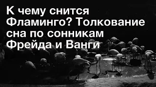 К чему снится Фламинго? Толкование сна по сонникам Фрейда и Ванги