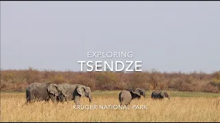 TSENDZE - Kruger Park camping at its best!