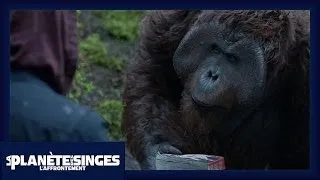 La Planète des Singes : L'Affrontement - Extrait Le Livre [Officiel] VOST HD