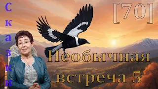 Необычная встреча 5 [70] сказки спокойной ночи