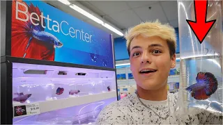 BUYING My *NEW* BETTA FISH!!!