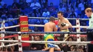 NONITO DONAIRE VS WILLIAM PRADO TKO 3.28.2015 IN ARANETA COLISEUM