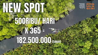 5 HARI 4 MALAM FISHING CAMPERBOAT : PEKERJAAN SIMPLE OMZET RATUSAN JUTA DARI HEWAN INI