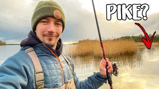 Exploring NEW PIKE SPOTS From the Shore (5 Tips!) | Team Galant