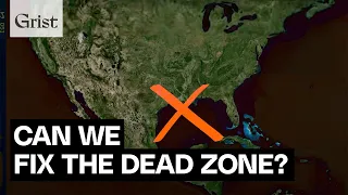 The Gulf of Mexico's dead zone, explained