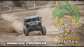 PALMA ESCUDERIA -  RANCHO PROBAJA 2023