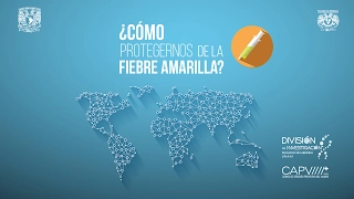 ¿Cómo protegernos contra la fiebre amarilla?