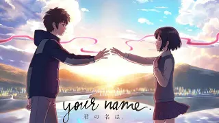 Your Name (2016) Film Explained in Hindi/Urdu Summarized हिन्दी