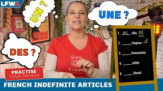 Practise your French indefinite articles Part 1