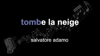 salvatore adamo | tombe la neige | lyrics | paroles | letra |