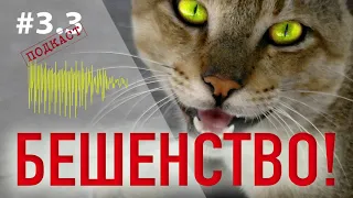 Симптомы бешенства у собак. Инкубационный период бешенства. Вакцина и помощь при бешенстве.